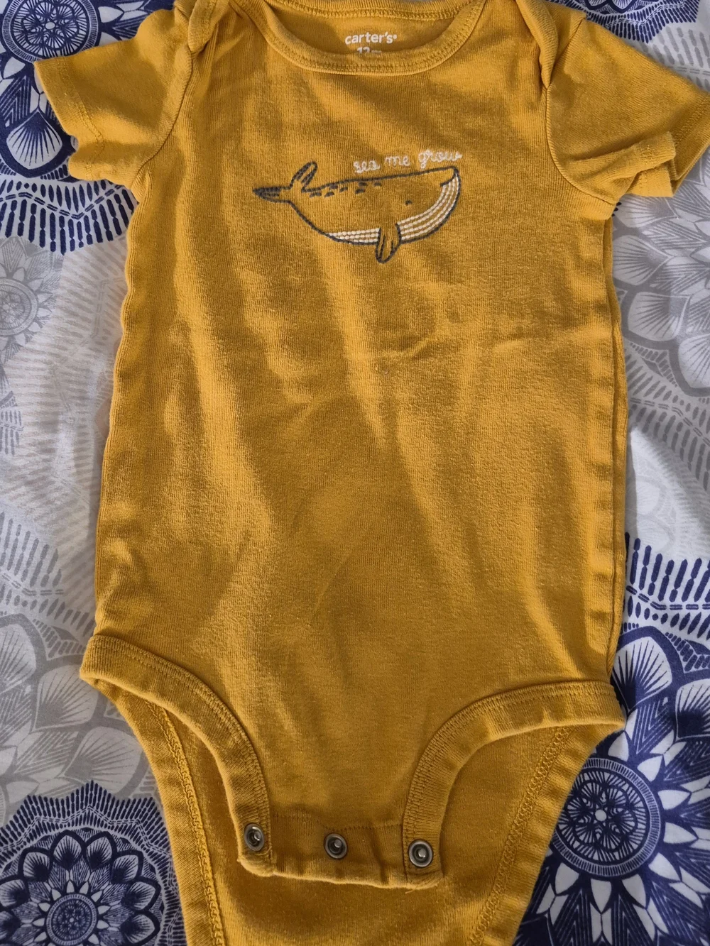 Carter's 3 Piece Whale Set 12 Months